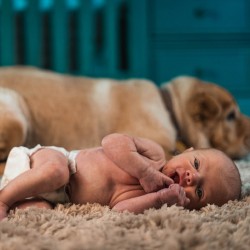 Bébé près d\'un chien