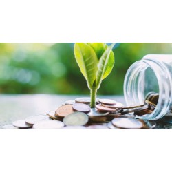 La banque verte  : la solution finances écologiques !