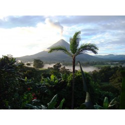 Le Costa Rica