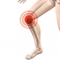 L’arthrose : une maladie très commune