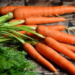 Légumes de saison en février : les carottes
