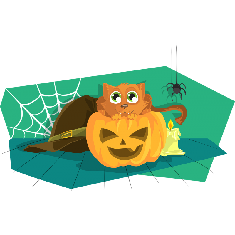 Citrouille et décor d\'Halloween