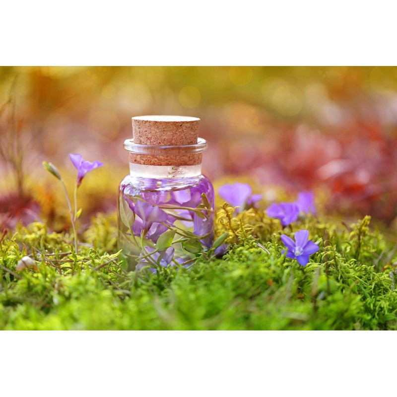 Une bouteille remplie de violettes disposée dans l\'herbe
