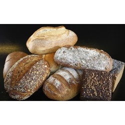 plusieurs types de pains