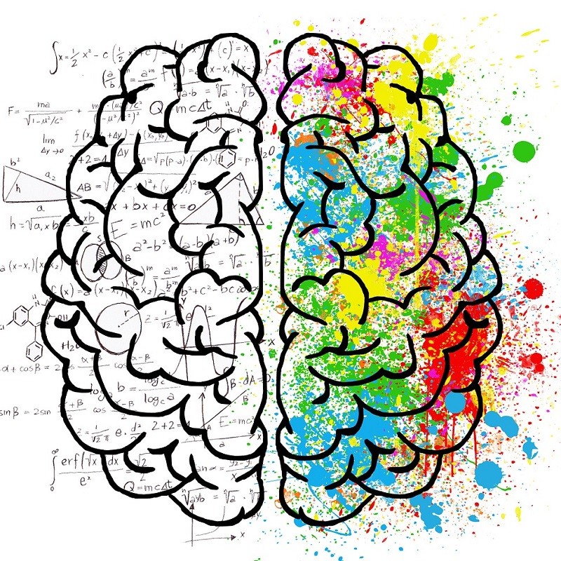 stimuler cerveau droit et cerveau gauche