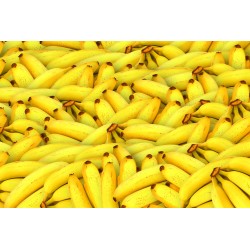 La banane est connu pour son apport en potassium et protéines.