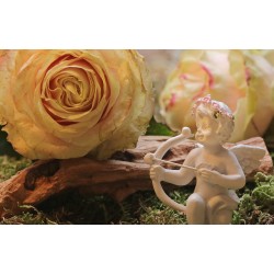 Cupidon et les fleurs