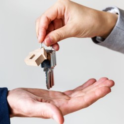 20 articles Immobilier (id 259)