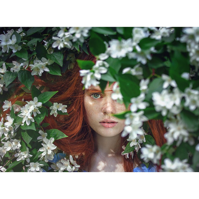 une femme rousse sous les fleurs d\\\'un arbre