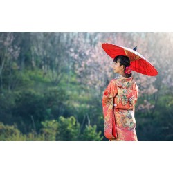Dame en tenue traditionnelle - Voyage au Japon