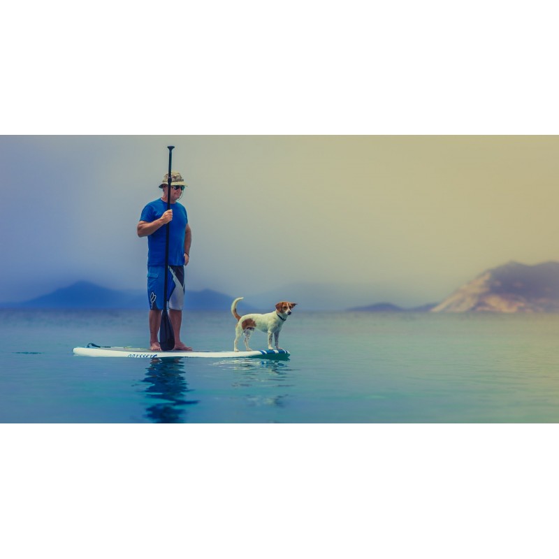le cani-paddle avec un homme et son chien sur la planche