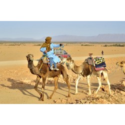 Un bédouin qui parcourt le désert du Sahara sous un soleil brûlant.