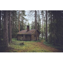 maison en bois