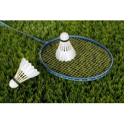raquette et volants badminton