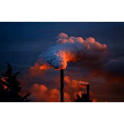 pollution aux hydrocarbures
