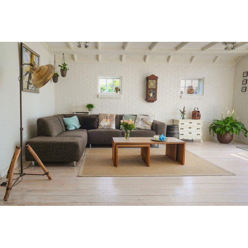 salon naturel et lumineux avec un grand canapé, une table basse en bois, des plantes vertes et un tapis en jonc