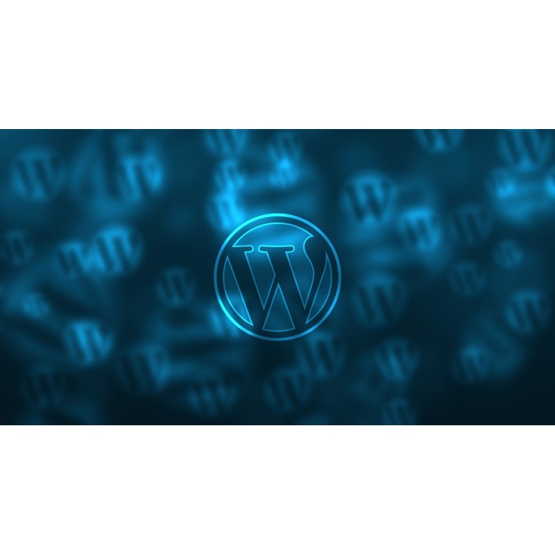 Pourquoi choisir Wordpress comme CMS pour la création de son site web ?