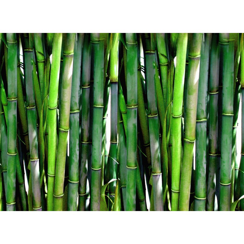 Draps en bambou