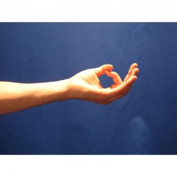 yoga mudras signification position doigts mudras