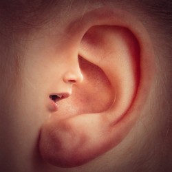 auriculotherapie acupuncture oreilles arret tabac