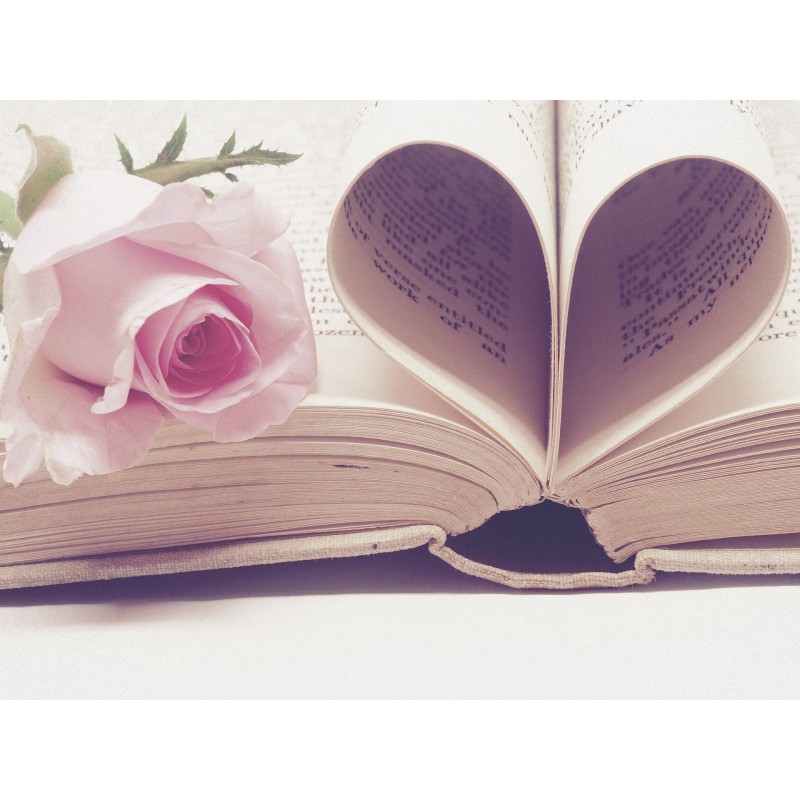 Un livre avec des pages en forme de coeur et une rose