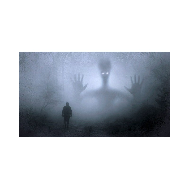 Forme fantomatique dans le brouillard.