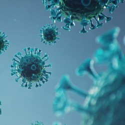 Epidémie du coronavirus
