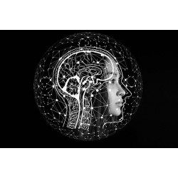 intelligence-artificielle-redaction-web-seo