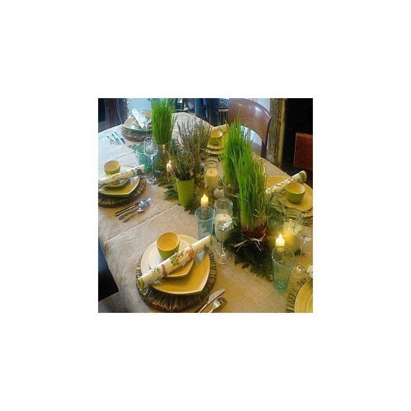 Une décoration de table végétale
