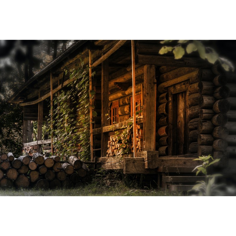 Construction d\'une maison en bois