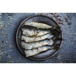 sardines fraîches