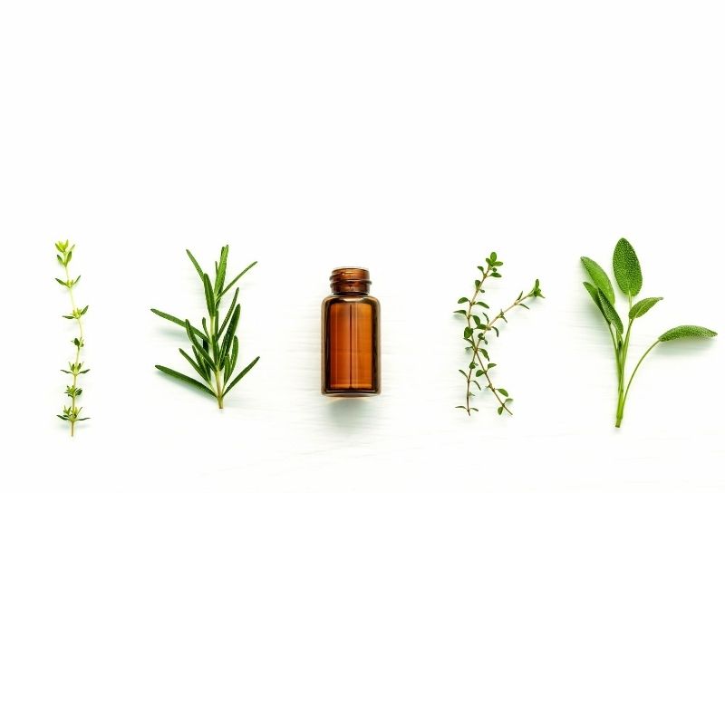 herbs bottle essential oil
